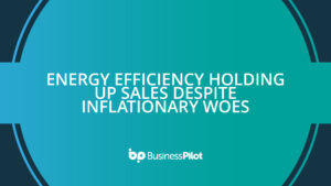 Energy efficiency holding up sales despite inflationary woes